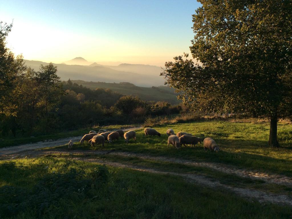 Sasso Feltrio Fattoria Bio L'A Ceccoliヴィラ エクステリア 写真