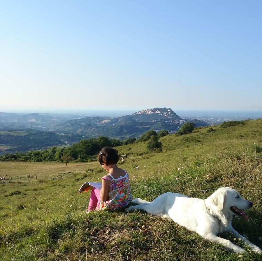 Sasso Feltrio Fattoria Bio L'A Ceccoliヴィラ エクステリア 写真